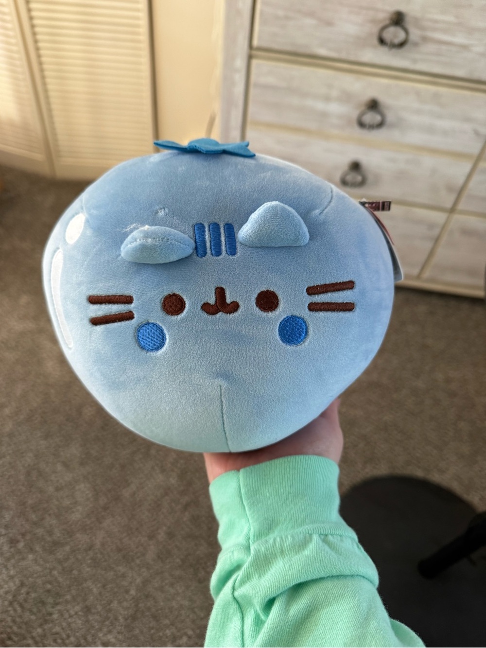 NWT Blueberry Pusheen